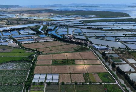 (miniature) Des rizières et des étangs d'aquaculture dans la ville de Fuqing